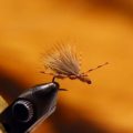 Fly Tying: How to Tie the Ant Acid
