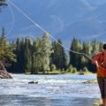 Fly Rod Weights, Action, Flex Explained