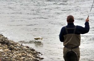 How to Fish Dry Flies Over Gravel Runs