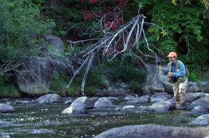 Prospecting for Trout on Streams