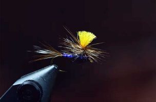 Fly Tying: How to Tie a Purple Haze