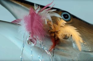 Fly Fishing for Sharks with Andy Mill