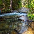 How to Fish High Mountain Creek Pools