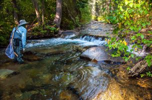 How to Fish High Mountain Creek Pools