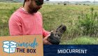 Inside the Box: Episode #10 - Simms Headwaters BOA Wading Boot