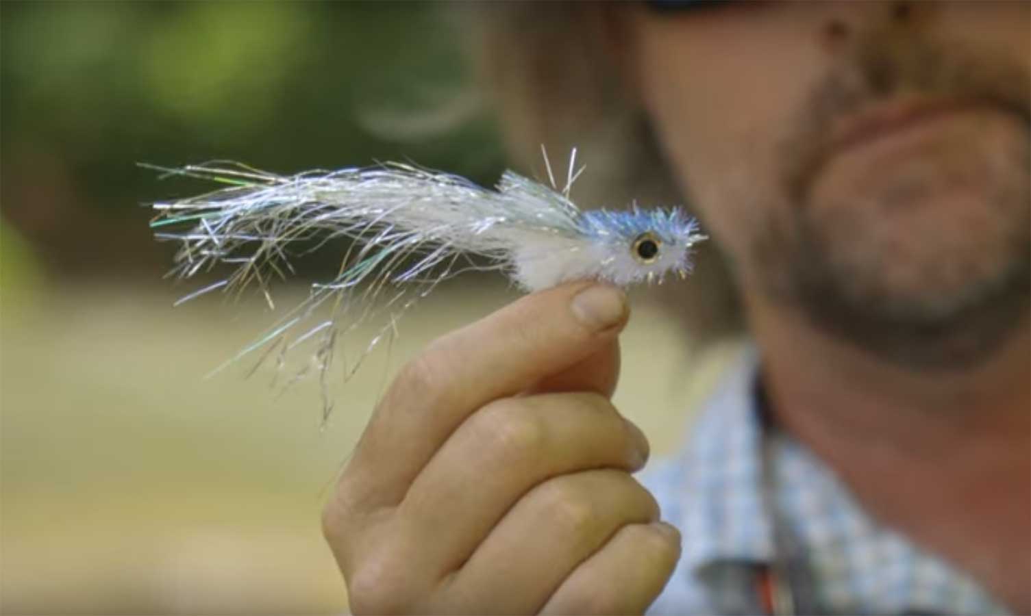 Video Hatch Fly Fishing for Smallmouth Bass MidCurrent