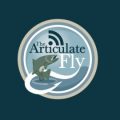 Podcast Episode: Capt. Debbie Hanson on The Articulate Fly