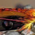 Secret to Tying Articulated Streamers