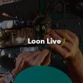 Loon Live November 7th