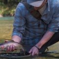 Ozarks on the Fly: Backcountry Fly Fishing