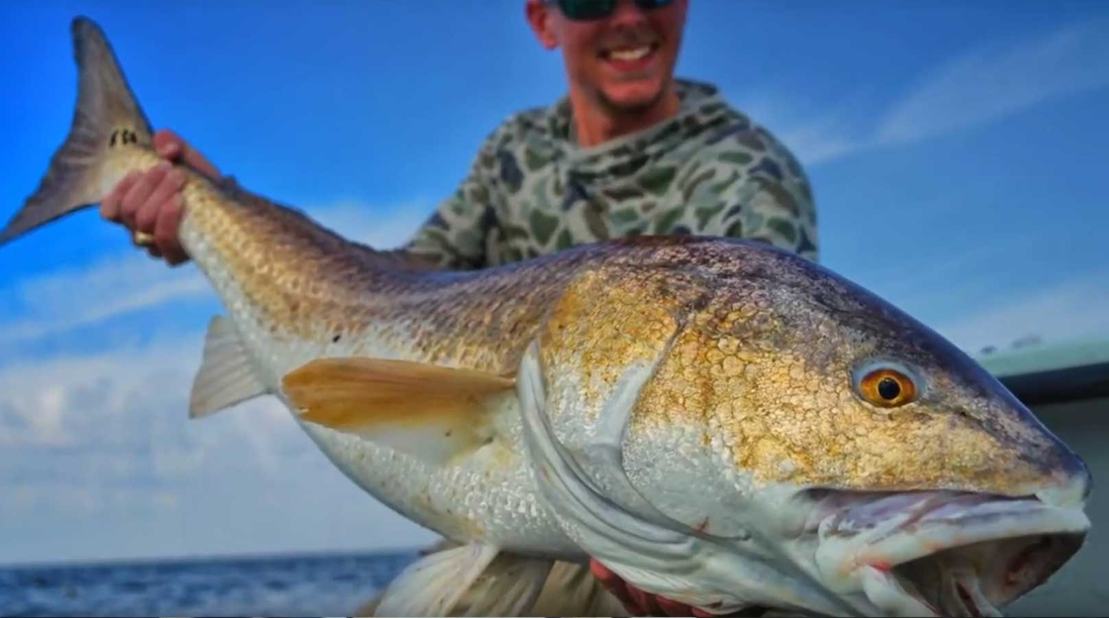  Hammer Fish Part 2 Louisiana Redfish MidCurrent