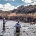Planning a Montana Fly Fishing Trip