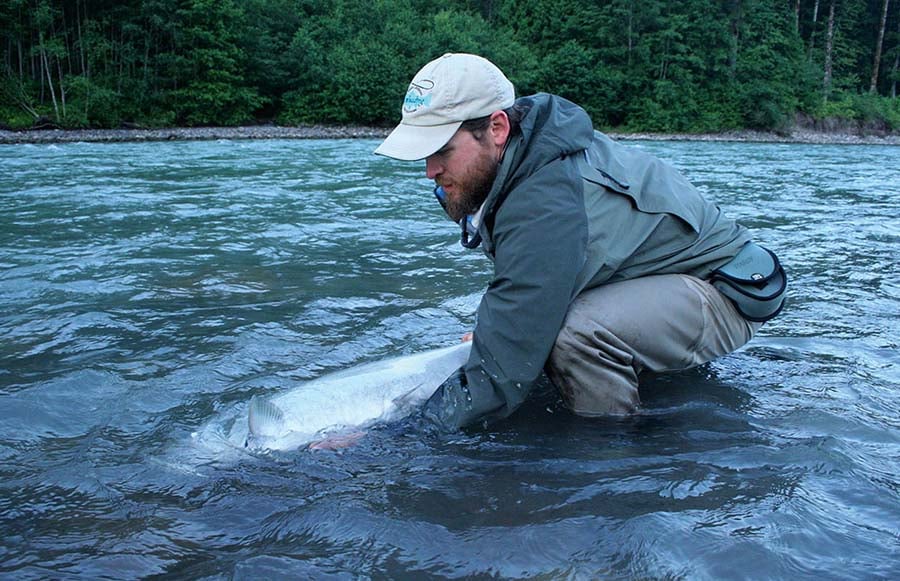 Wild Harvest Canned Dog Food Wild Steelhead Can t We Let Them Live MidCurrent