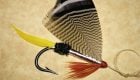 The Tomah Jo: Favorite Fly of a Maine Indian Guide