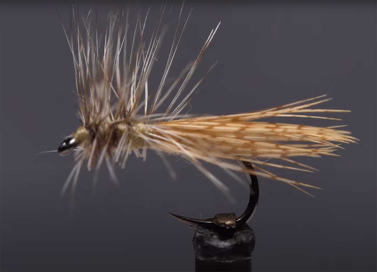 How to Tie A.K. Best’s Spent Caddis | MidCurrent