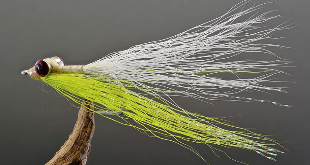 How to Fly Fish for Walleye at Night