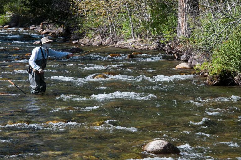 Seven New Fly Fishing Tips | MidCurrent