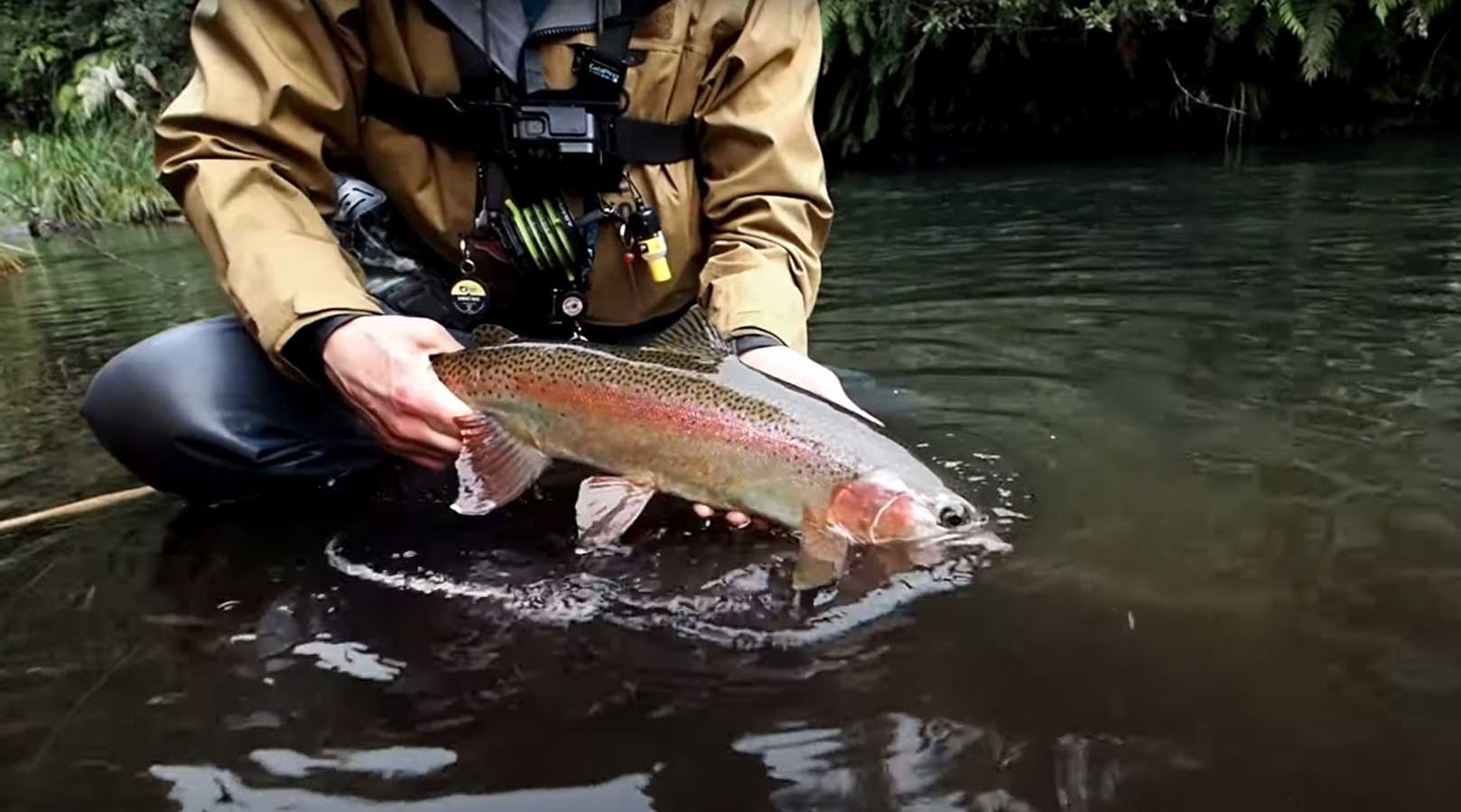 Fly Fishing the Best River in the World (Part 3)