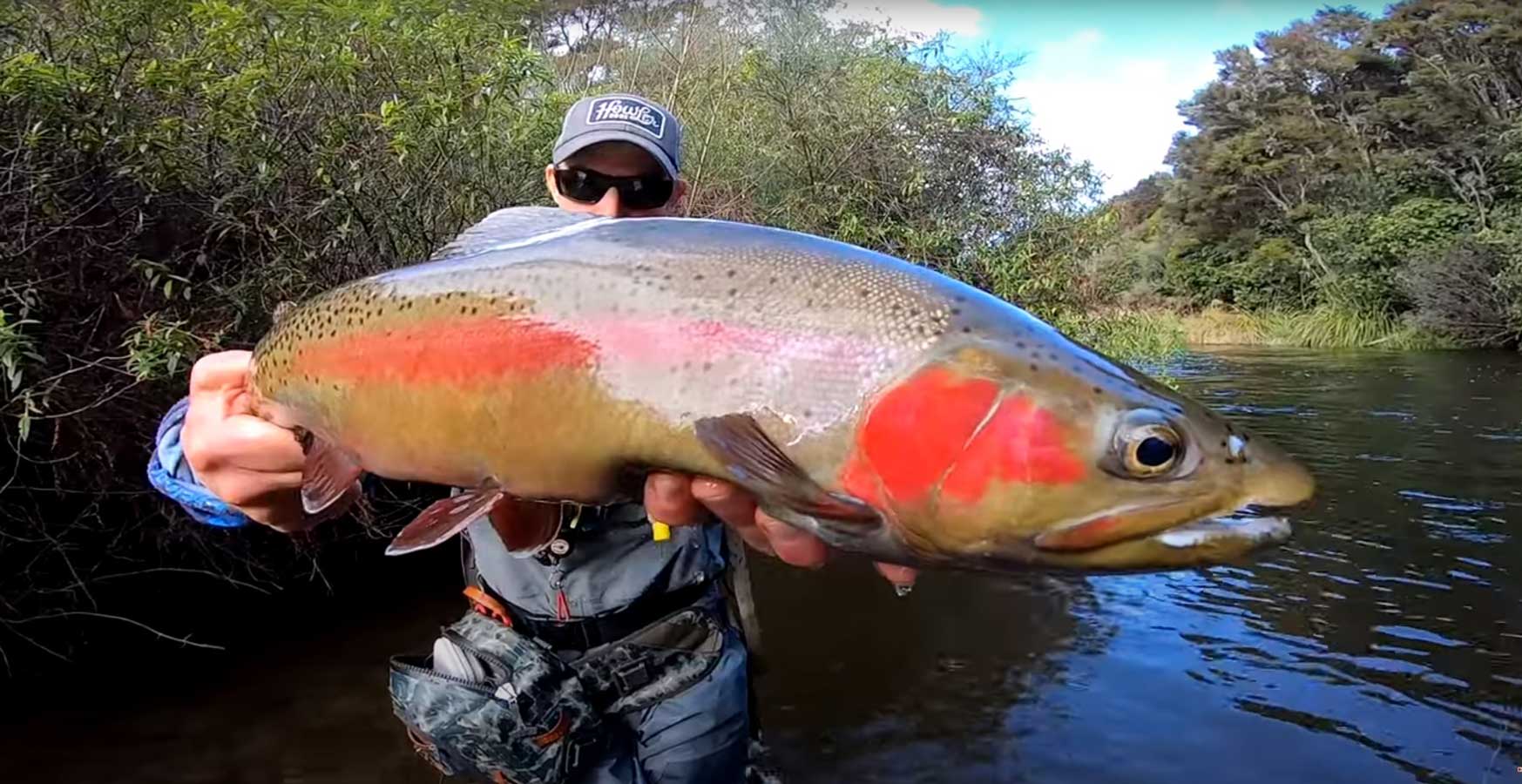 Fly Fishing Rainbow Trout