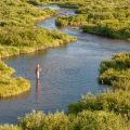 Fly Fishing, Conservation Bolster Mental Health
