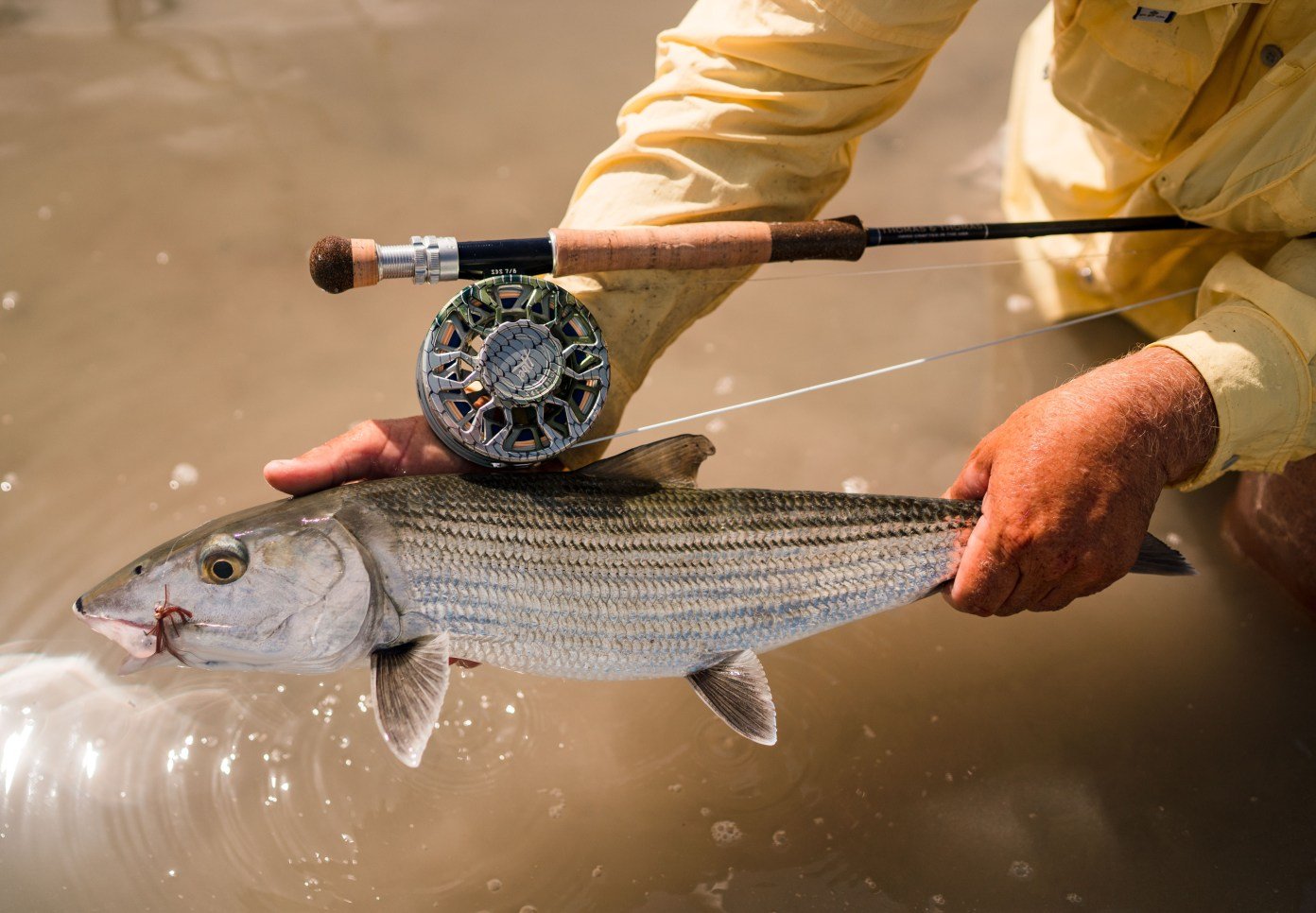 saltwater fly reels