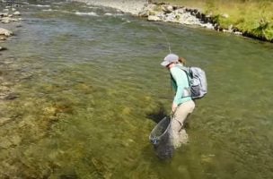 “Take Two” – How to Catch Trout Feeding in Close Proximity