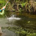 "Succinct": How to Fly Fish Spring Creeks