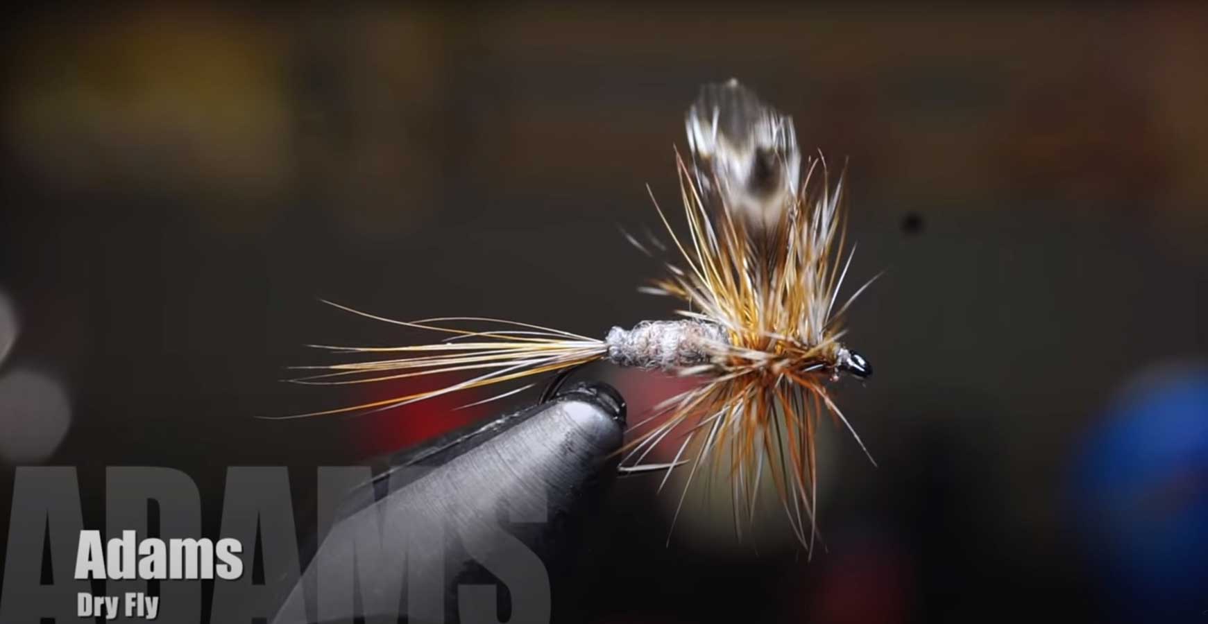 Parachute Adams Dry Fly Pattern