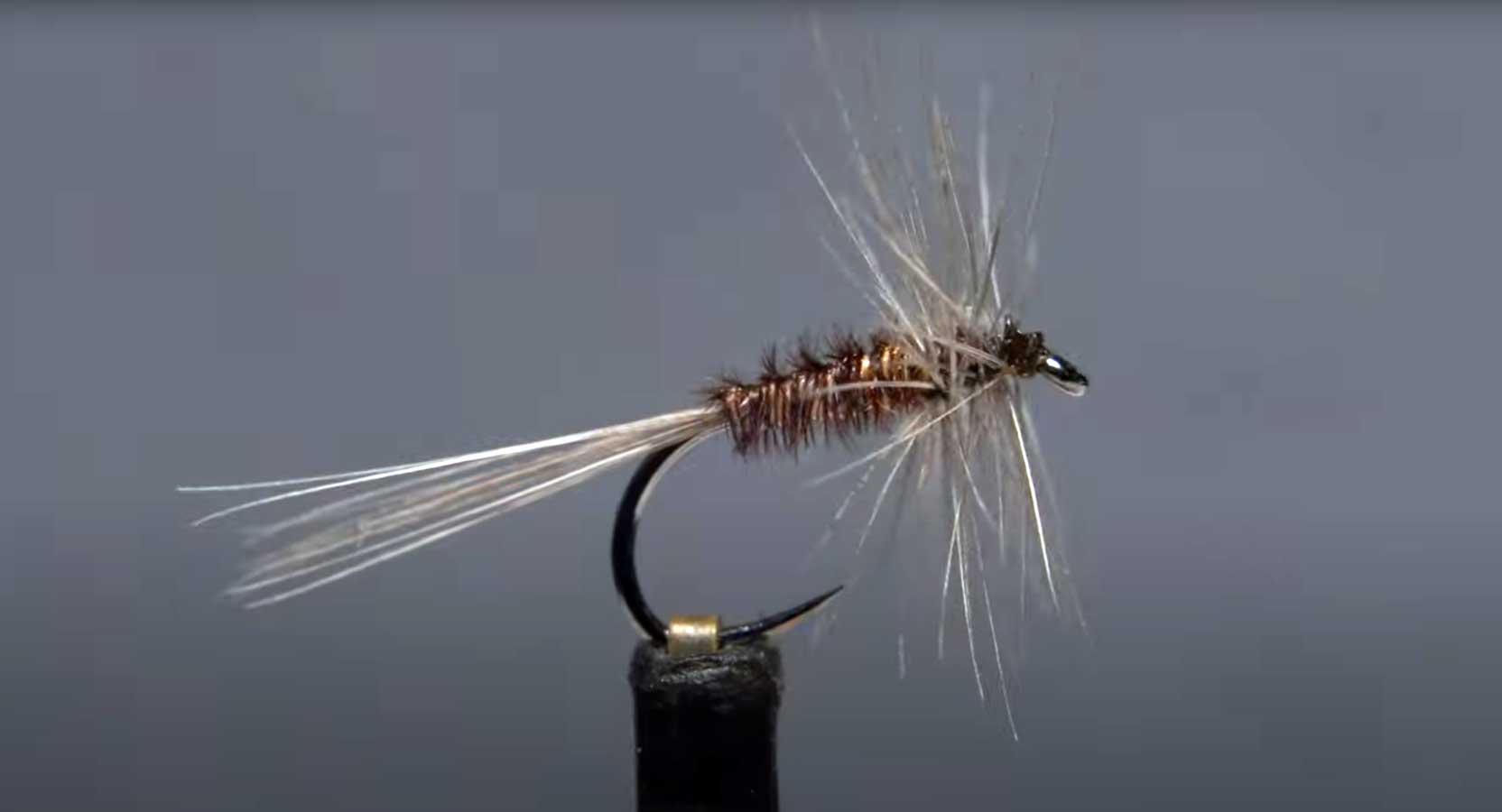 Pro Tips: Why You Should Always Carry Pheasant Tail Nymphs - Orvis News