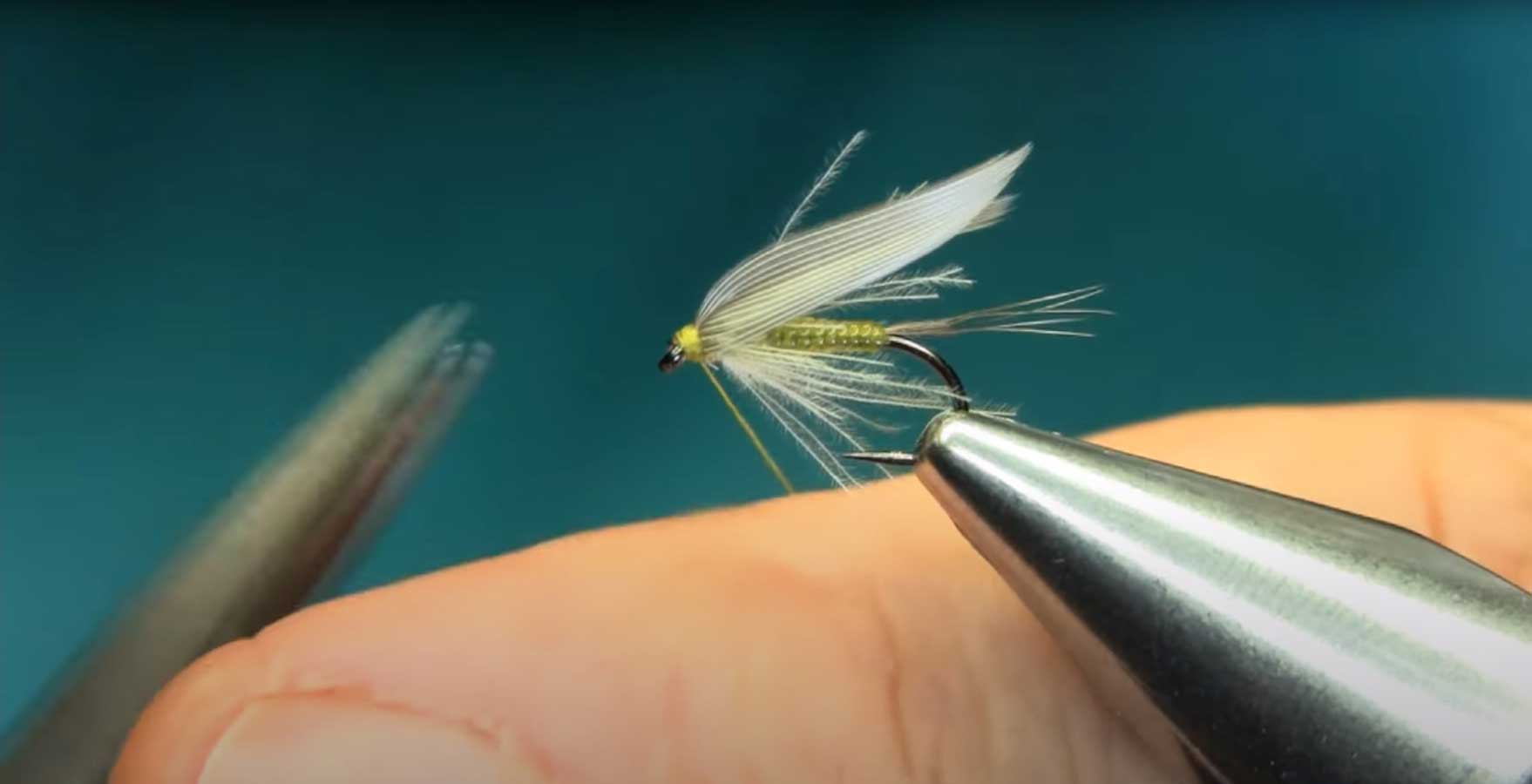 How to Tie a BlueWinged Olive Wet Fly MidCurrent