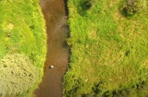 “The Smudge Hunt” – How to Spot Deep Holding Trout