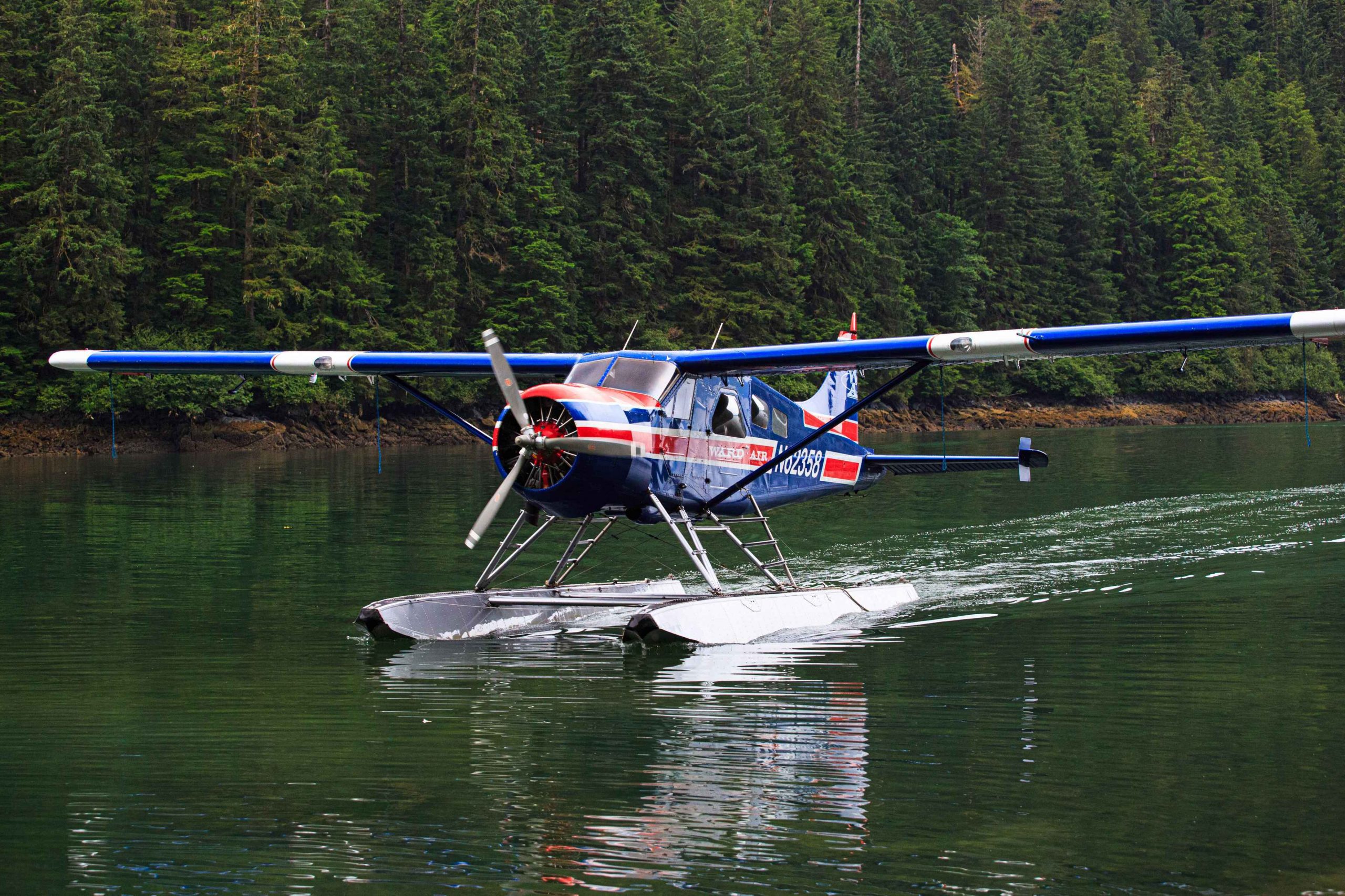 beaver airplane