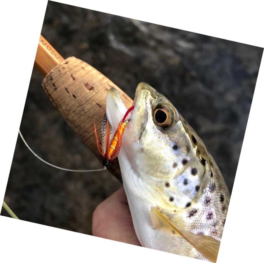 The Professor Fly Pattern