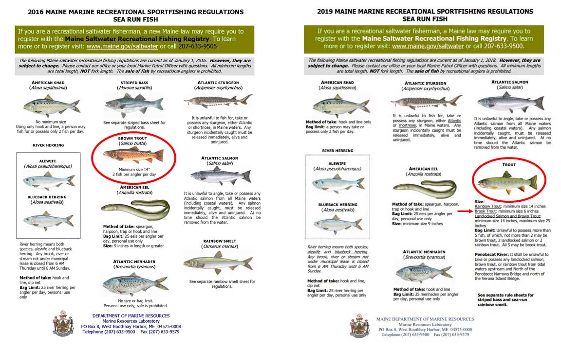 The Life Cycle of a Brook Trout, Autumn 2014, Articles