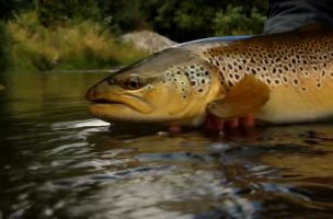 Becoming a Great Fly Angler