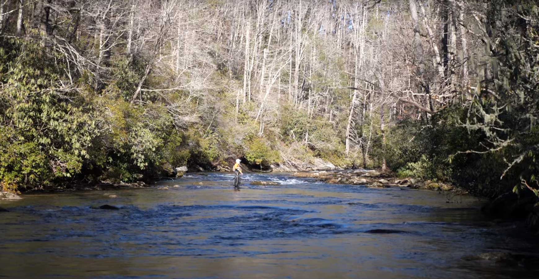 Trout Fishing the Most Incredible Water I've Ever Seen, North Georgia  Trout