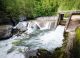 Research on Removing Enloe Dam Ramping Up