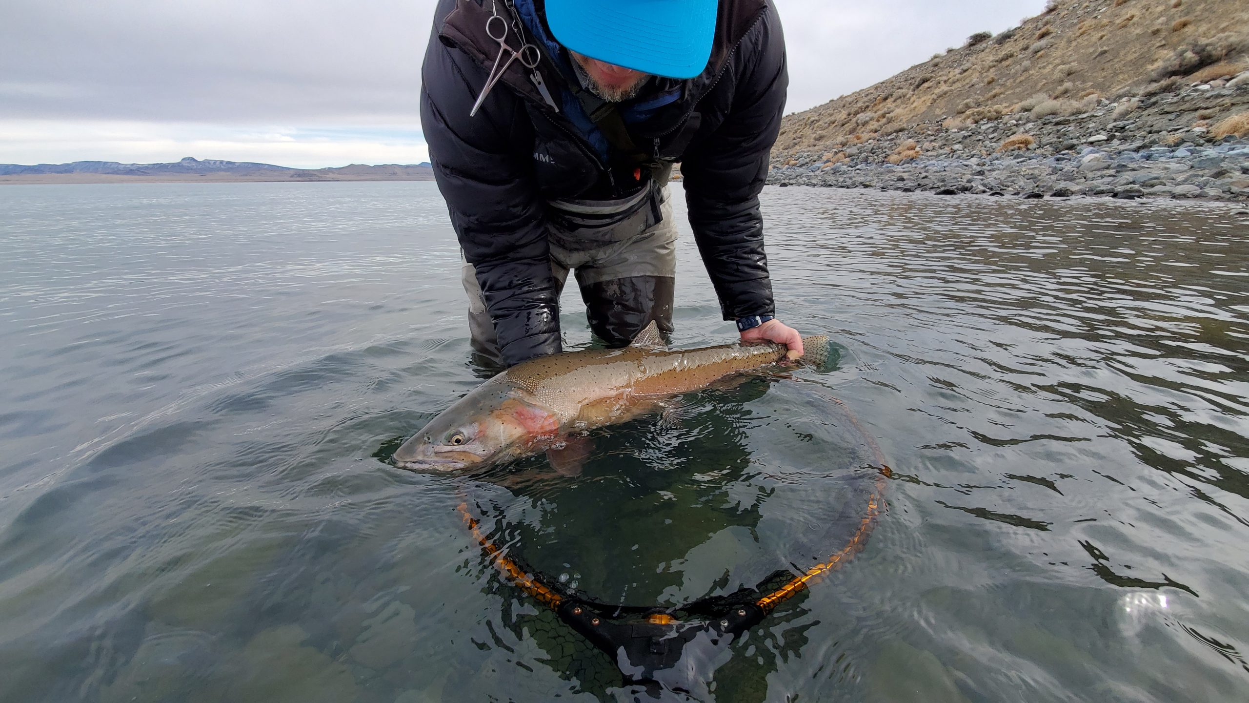 world record cutthroat trout