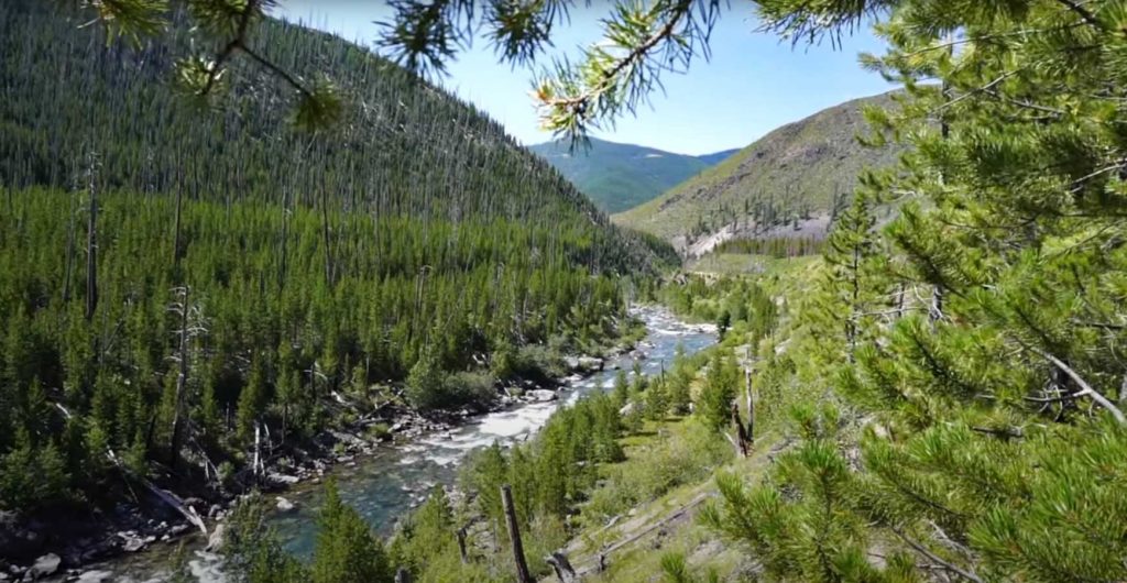 Backpacking Montana Fly Fishing