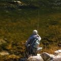 The Best Euro-Nymphing Rod for You