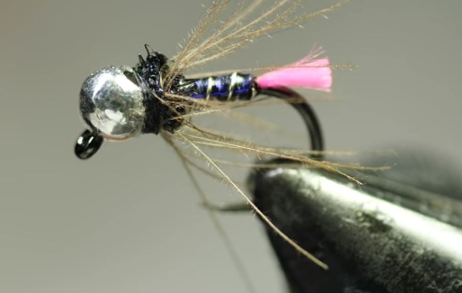 Tying Tuesday: Space X Nymph | MidCurrent