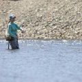 Montana Reports Brown Trout Decline Across Southwest Rivers