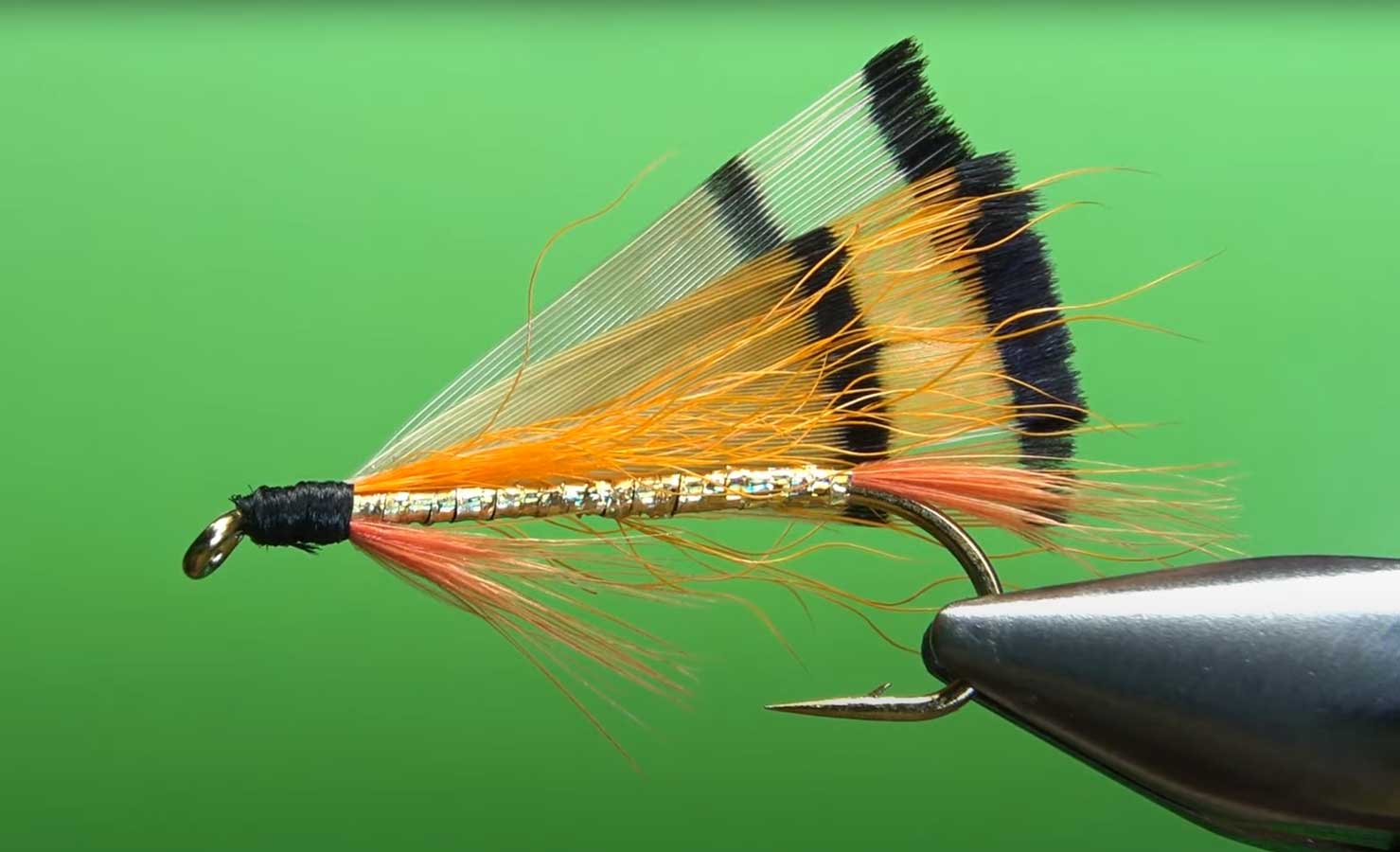 Fly Patterns of British Columbia: The Roderick Haig-Brown