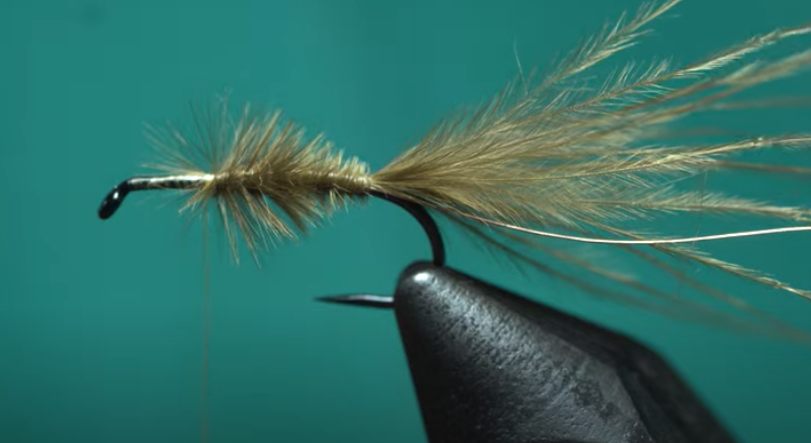 Tying Tuesday: The Feather Mechanic | MidCurrent