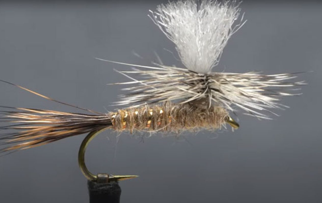 Fly Fishing | How To Flyfish | MidCurrent