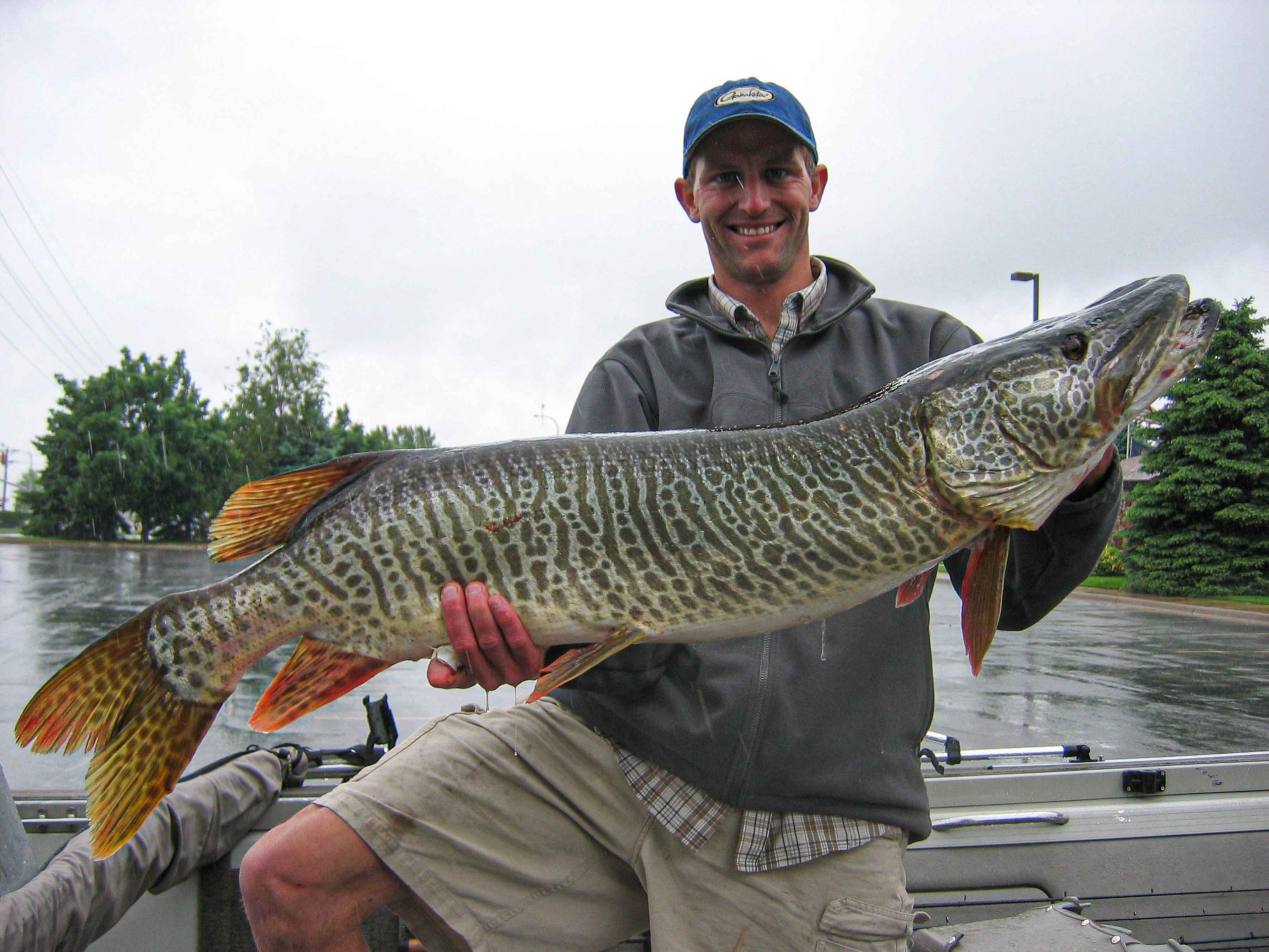 tiger muskie