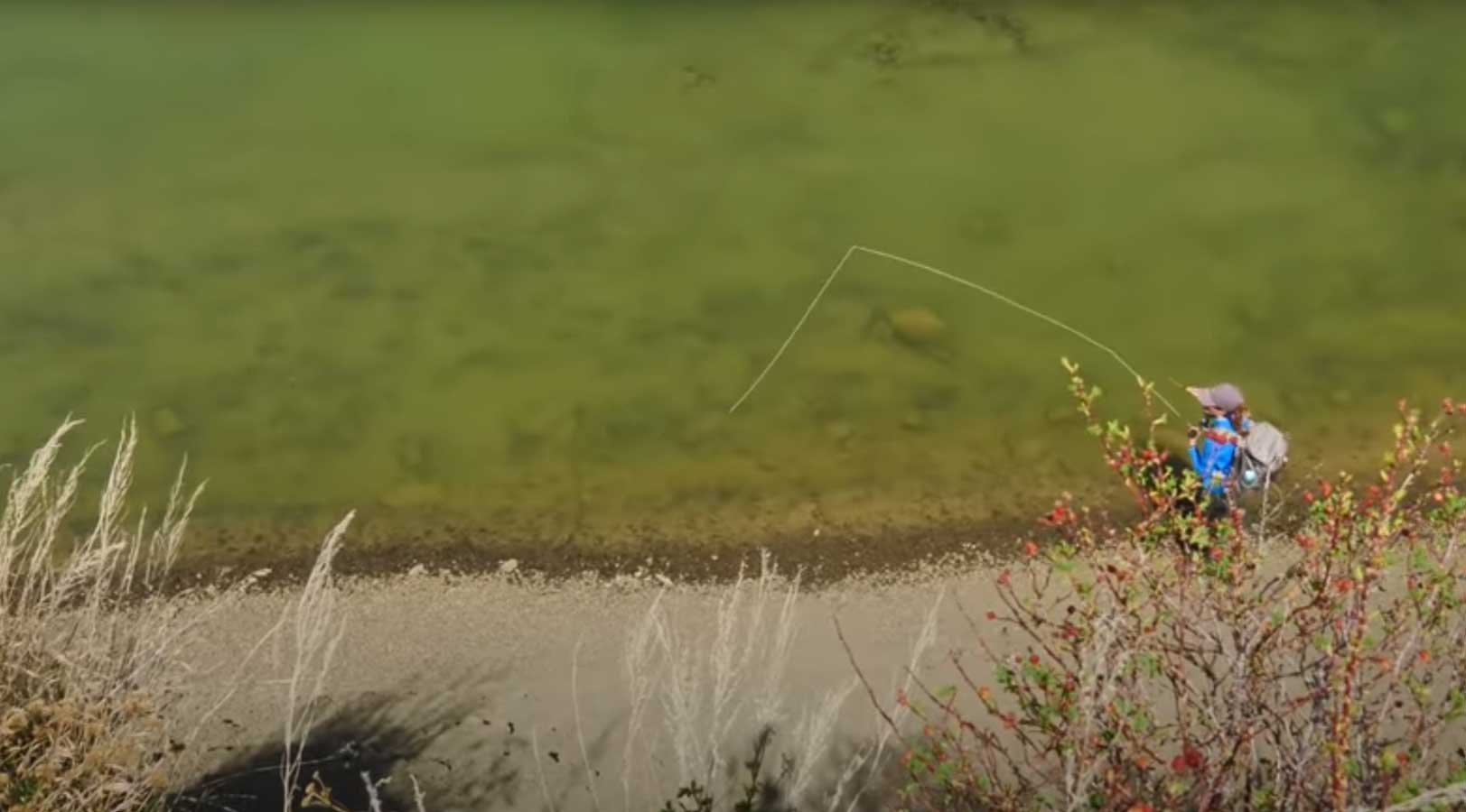Fly Fishing Hatches: Skwala Stonefly Mania