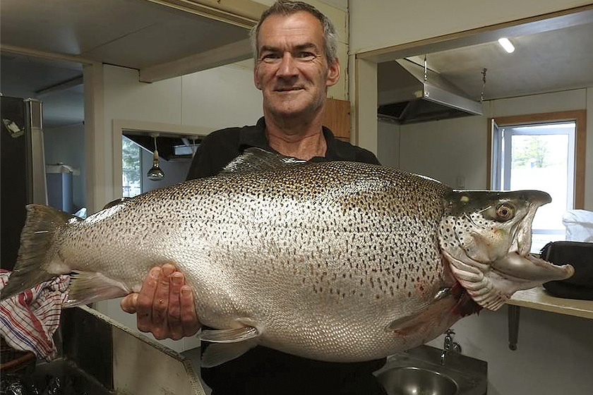 Should This Record Brown Trout Count? MidCurrent