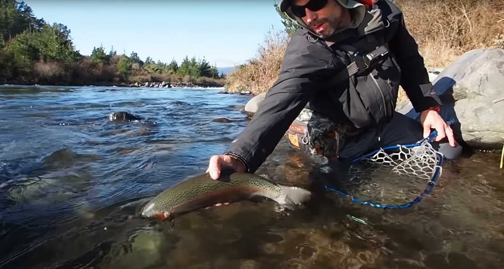 "Winter Fishing at Its Best" (New Zealand) | MidCurrent