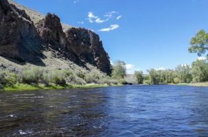 Encouraging News for Big Hole River